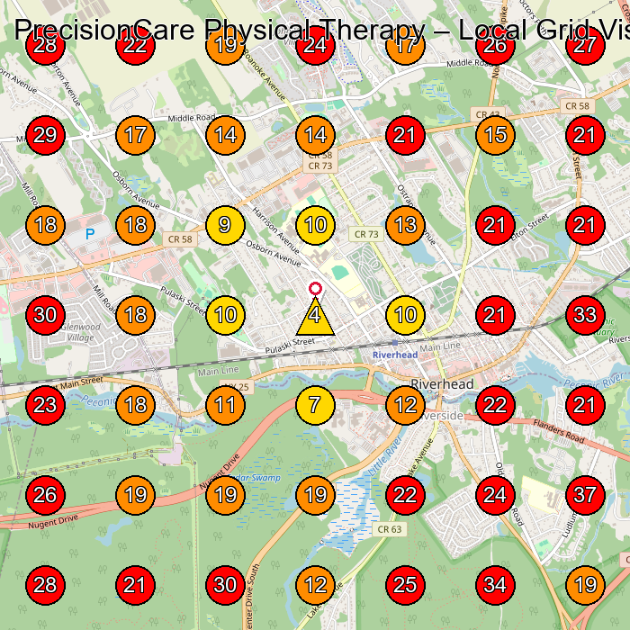 PrecisionCare Physical Therapy GeoGrid visibility map for Physical Therapist in Wading River